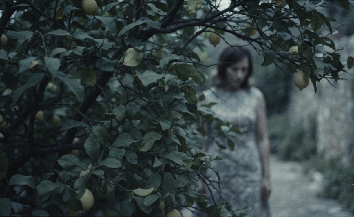 A woman in a pale patterned dress blurred behind a lemon tree at dusk