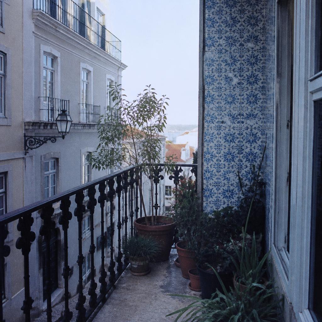 A quiet Lisbon balcony with potted plants and blue azulejo tiles, shot on disposable film